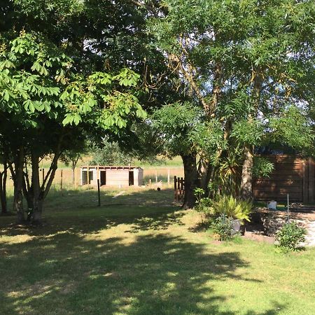 Au Mas Retz De Jade Bed & Breakfast Chauve Exterior photo